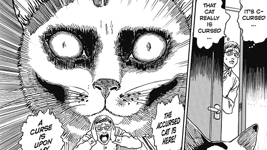 Manga Review- The Works of Junji Ito – The Cat with a Book