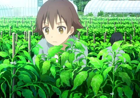Anime Studio Asahi Production Forces Animators to Work on Farm