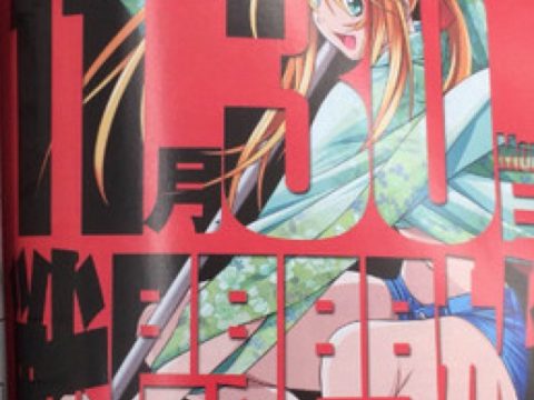 Ikki Tousen Manga Continues in November