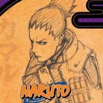 Anime to Adapt Naruto Epilogue Novels