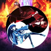 New Themes Coming to Twin Star Exorcists Anime