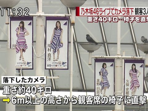 Nogizaka46 Fans Injured by Falling Camera at Concert