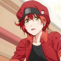 Cells at Work Anime Reveals New Cast Additions