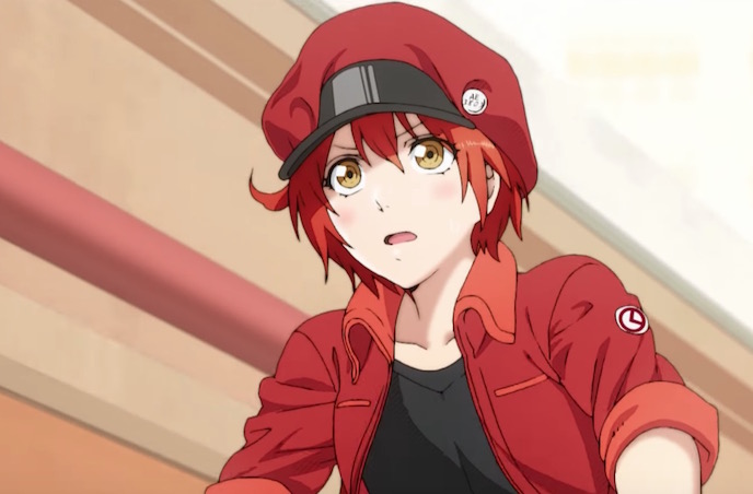 Hataraku Saibou (Cells At Work!) Image by david production