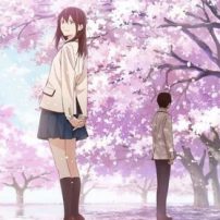 Anime Film Let Me Eat Your Pancreas Hits Theaters This Fall