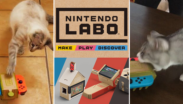 Cats Go to War with Nintendo Labo Cardboard Creations