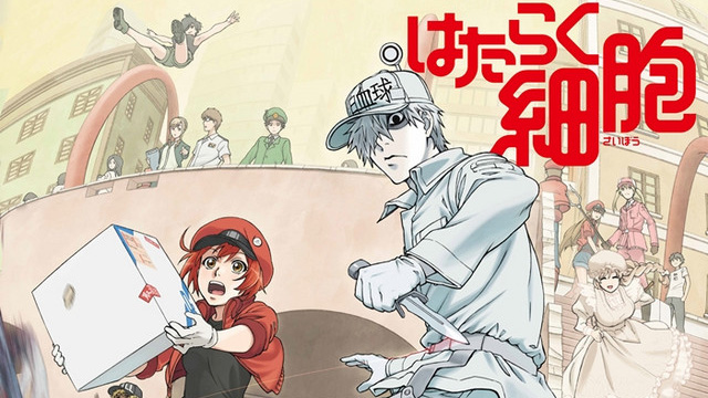 Cells at Work! Has Its Own Sake Starring White Blood Cell
