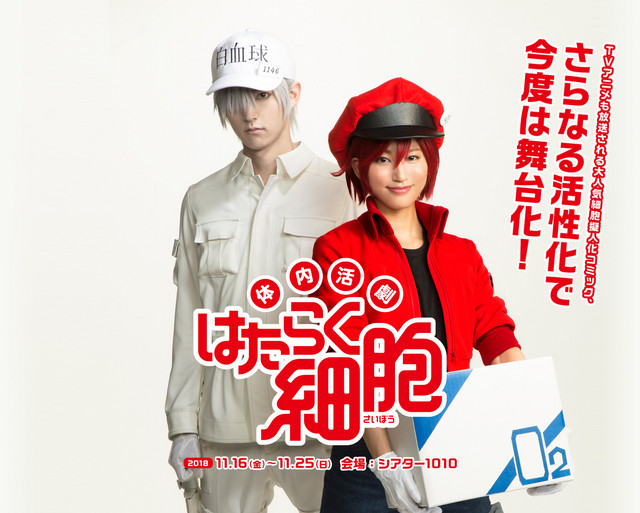 Cells at Work! Stage Play Actors Work Hard in Poster Visual