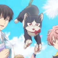 Voice Actor Kensho Ono Promotes Cat Anime at Cat Café