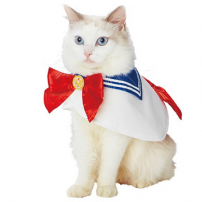 Sailor Moon and Dragon Ball Pet Costumes are Bound to Breed Resentment