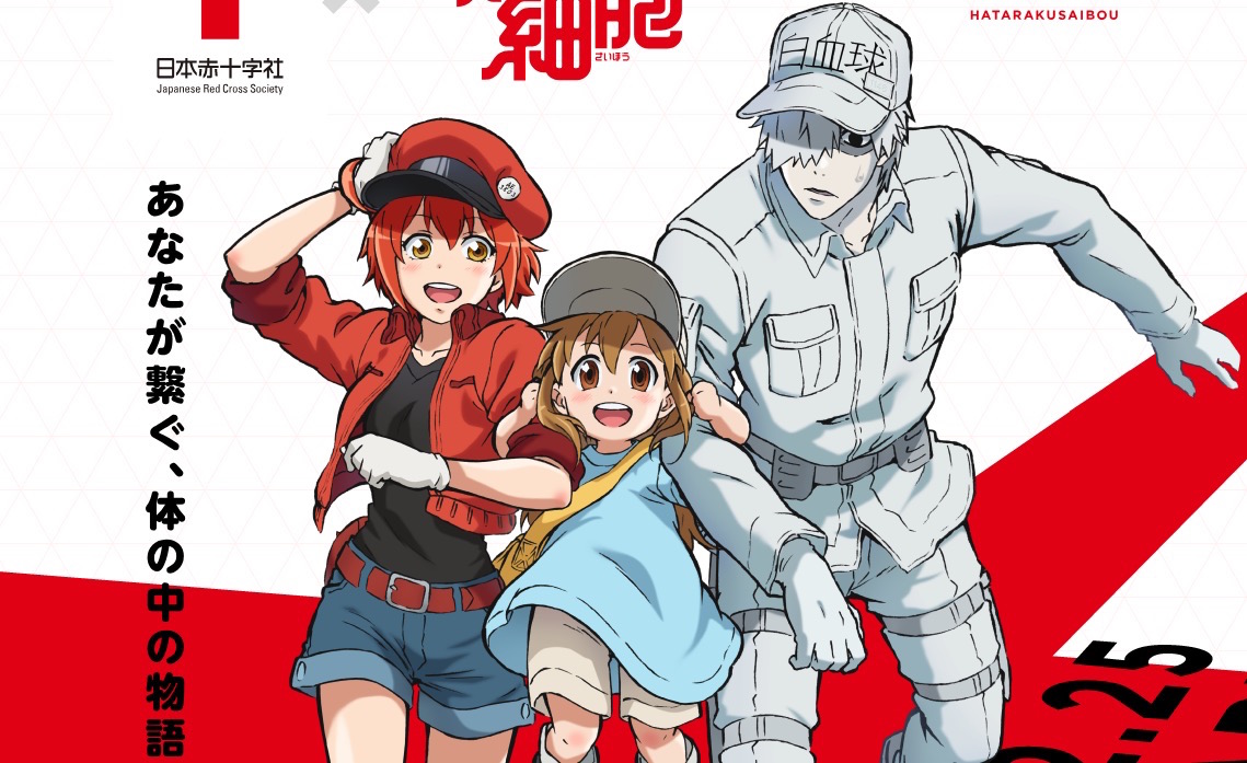 16 Hataraku Saibou ideas  anime, blood cells art, manga