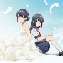 Seishun Buta Yarou Anime Film Opens in Japan on June 15