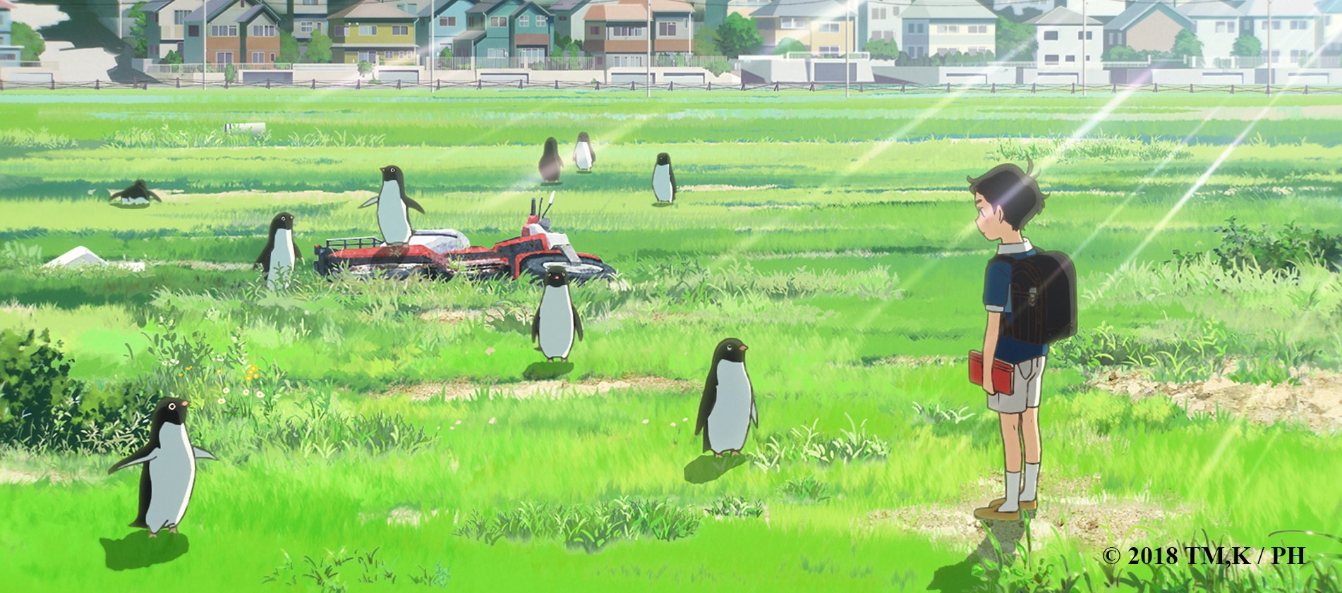 penguin highway