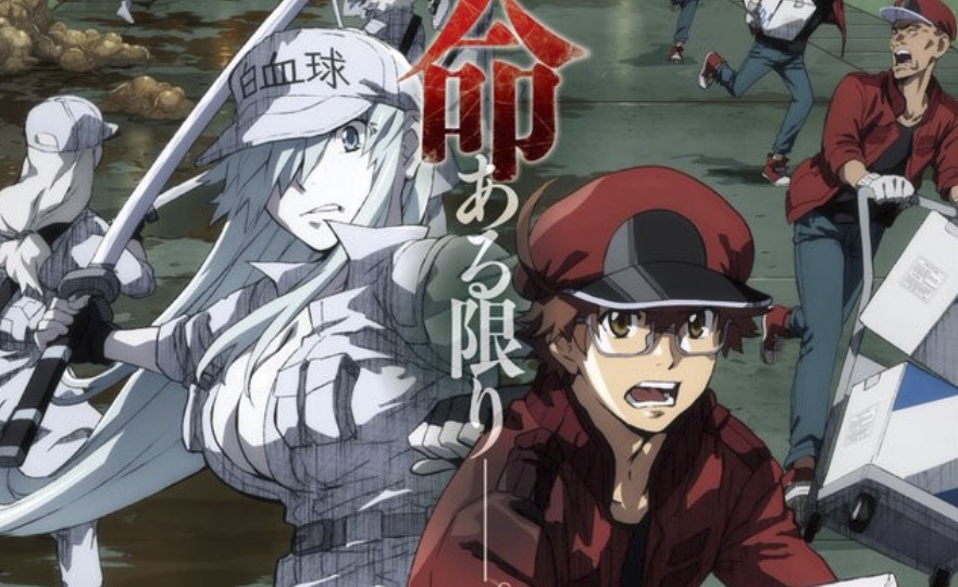 Anime Winter 2021 はたらく細胞BLACK Hataraku Saibou BLACK Cells at Work! Code  Black Japan release date= Jan…