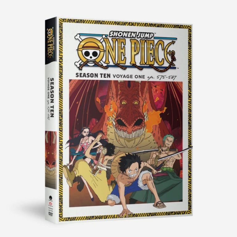 one piece dubbed dvd