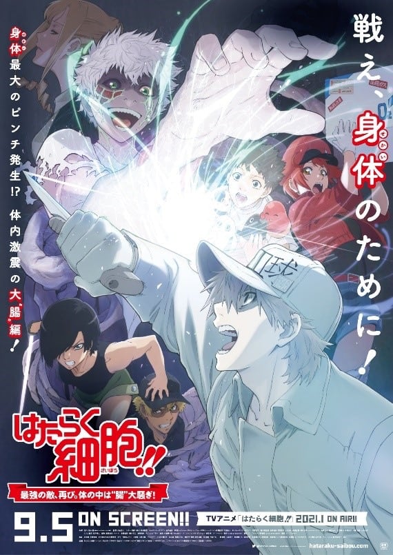 Cells at Work Live-Action Movie Announced - Siliconera