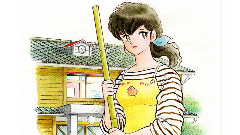 Maison Ikkoku Collector’s Edition volume 1