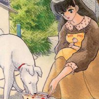Maison Ikkoku Collector’s Edition [Manga Review]