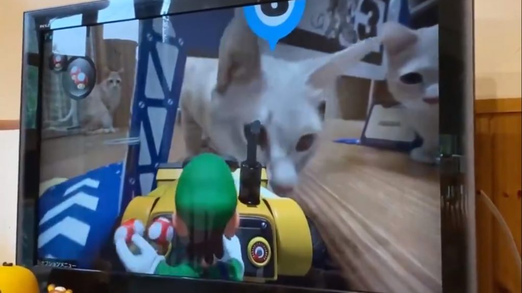 In Mario Kart Live, Your Cat is the Toughest Opponent