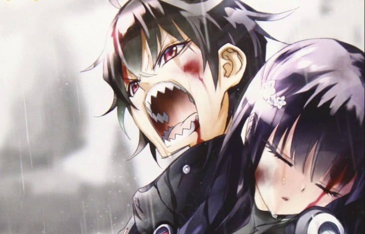 Review] Twin Star Exorcists