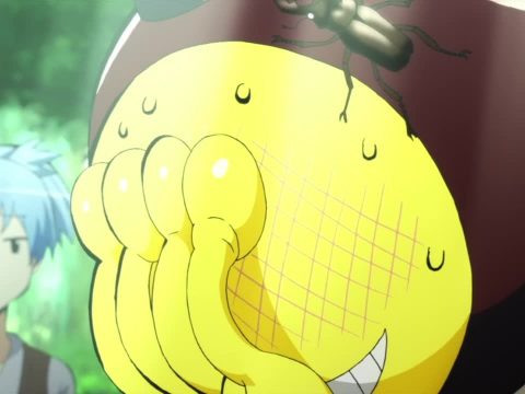 New Florida Laws Mean Special Magistrate Decides if Assassination Classroom Gets Banned
