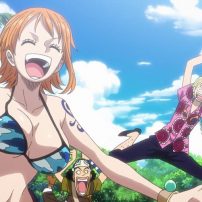 One Piece and Other Toei Anime Coming to Streaming Service Tubi