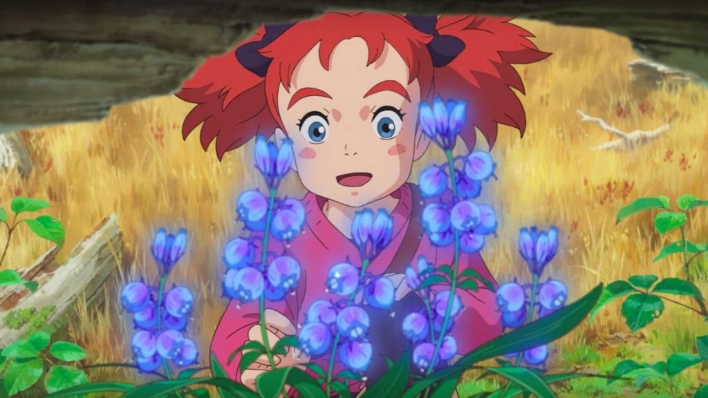 Mary and the Witch's Flower