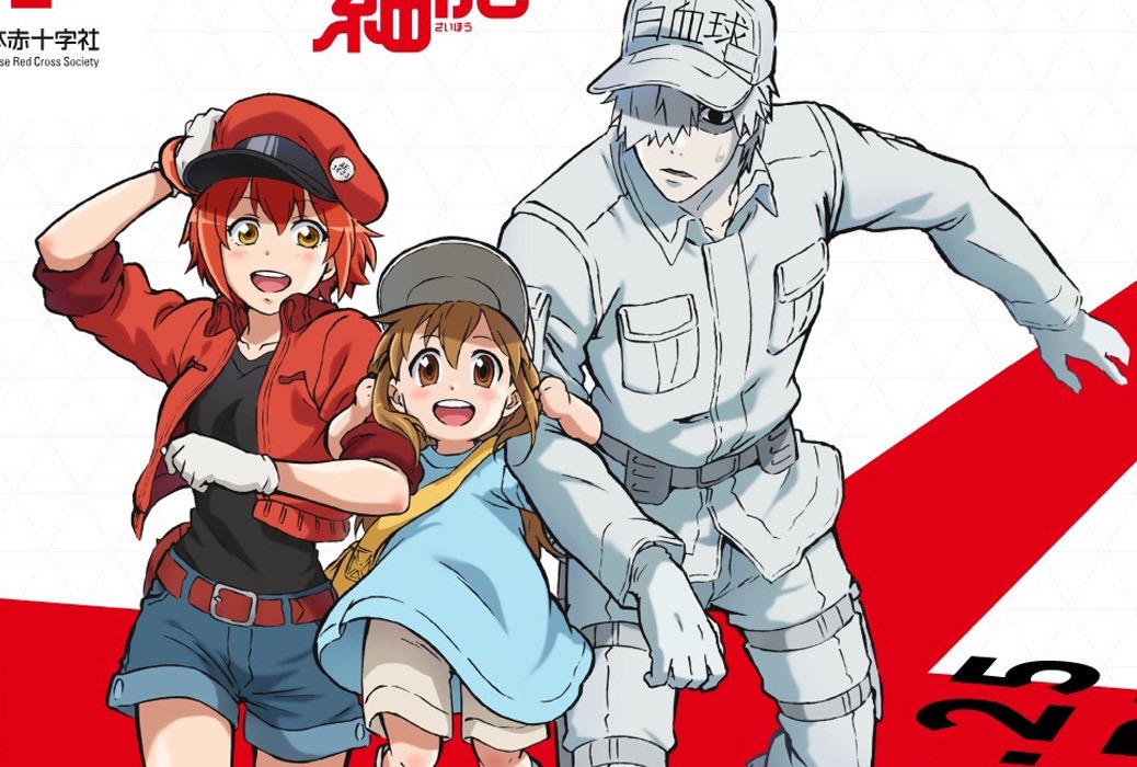 ▷ Hataraku Saibou Manga opens a new chapter on the COVID-19