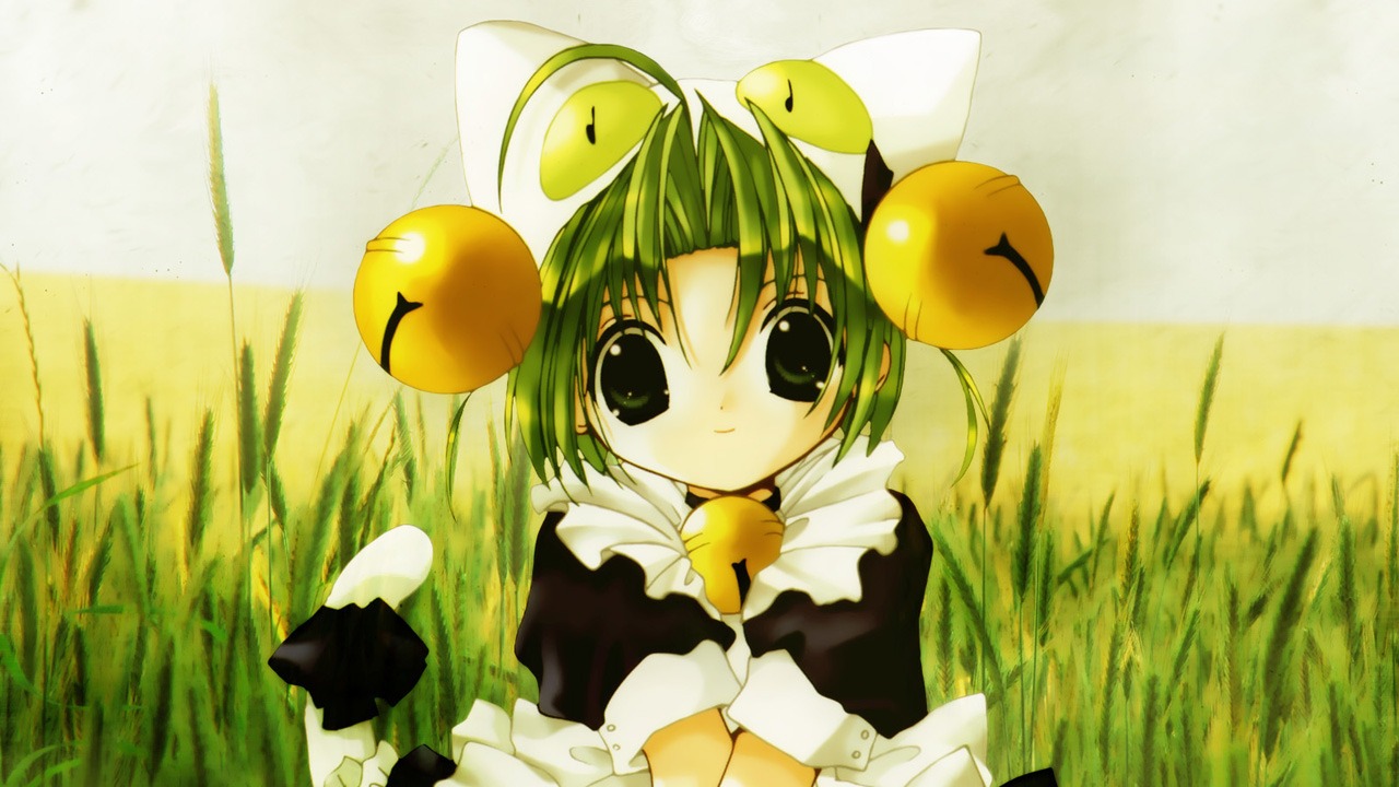 Best Catgirls Anime List Popular Anime With Catgirls