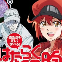Cells At Work! Gets Illustrated Medical Textbook for Kids