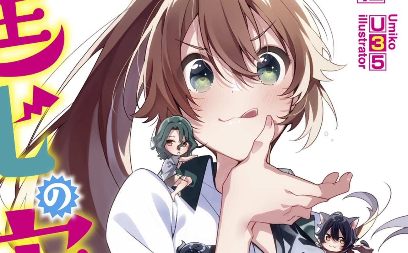 Isekai Series Shinka no Mi to Be Adapted into TV Anime – Otaku USA Magazine