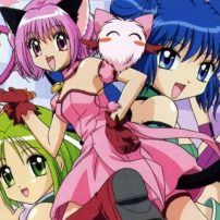 Waiting for Tokyo Mew Mew? Watch These Sweet Magical Girl Anime