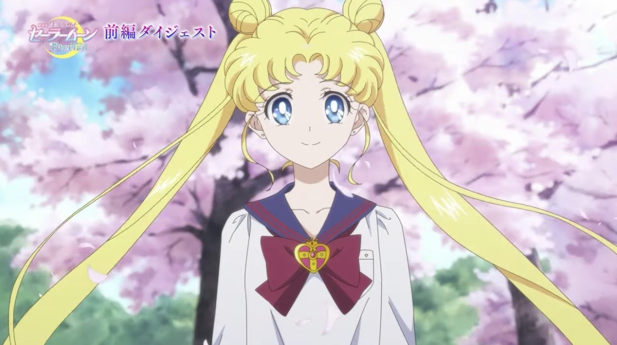 sailor moon eternal anime