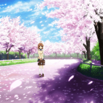 Sakura and Anime: Three Series Where Cherry Blossoms Are in Bloom