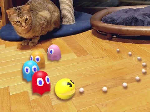 Google Japan Offers Pac-Man, Hello Kitty, Ultraman and More in Augmented Reality