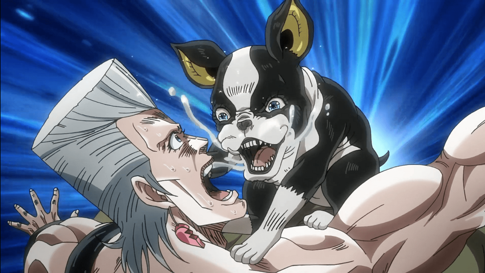 jojo bizarre adventure iggy