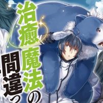 Chiyu Mahou no Machigatta Tsukai-kata Isekai Light Novels Land Anime