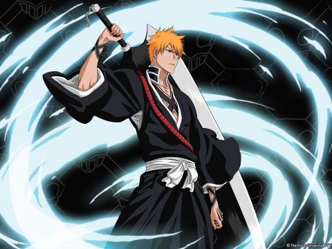 Can Ichigo Retain His Soul Reaper Powers? Find Out in the Final Bleach Collection!