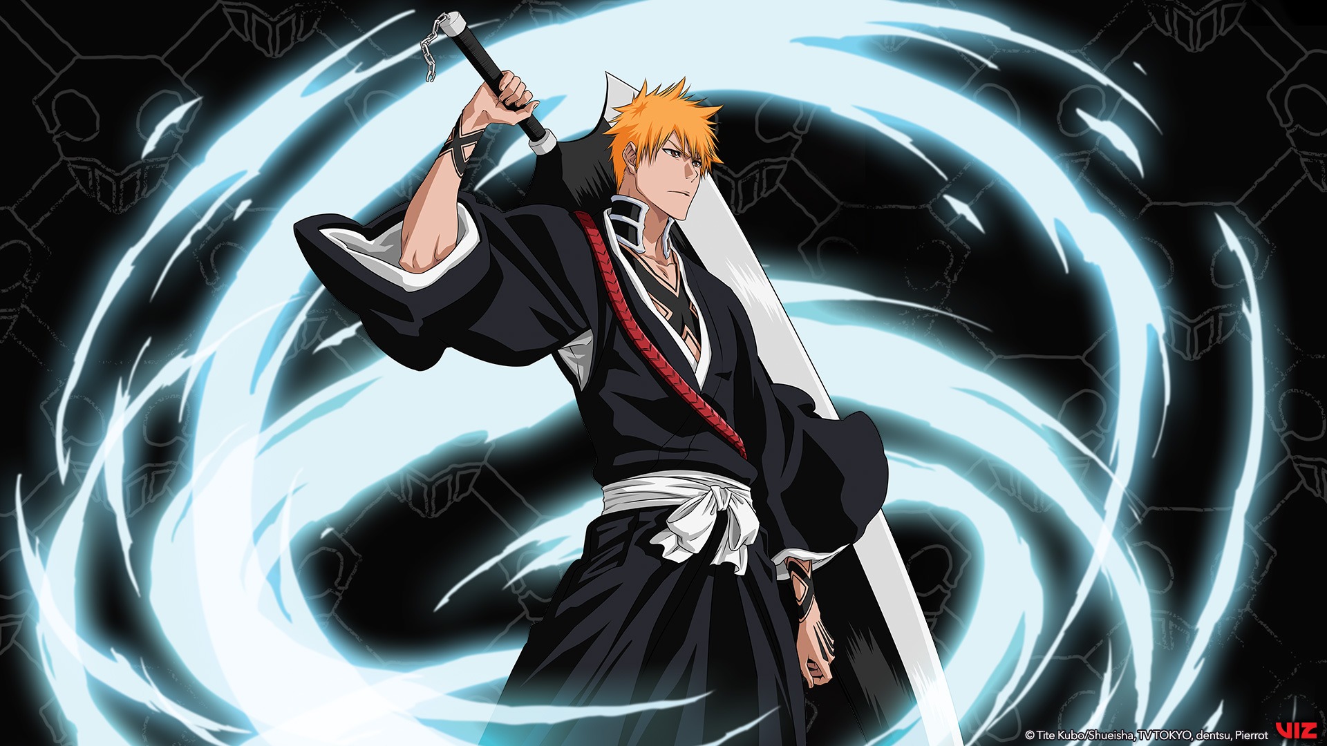 VIZ  See Bleach, Set 13