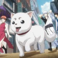 Gintama Giveaway: Enter to Win Tickets to Gintama THE VERY FINAL!