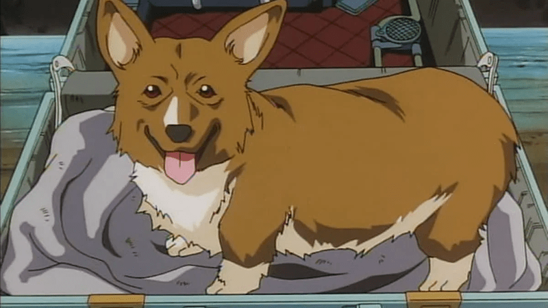 Ein, Cowboy Bebop