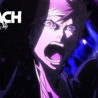 Bleach: Thousand-Year Blood War Anime Reveals First Trailer