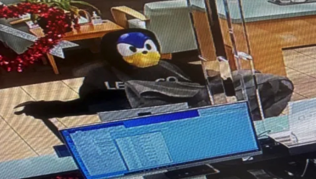sonic the hedgehog robber