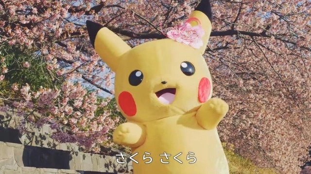 Pikachus Dance To Traditional Japanese Song “Sakura, Sakura”