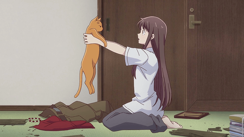 Fruits Basket