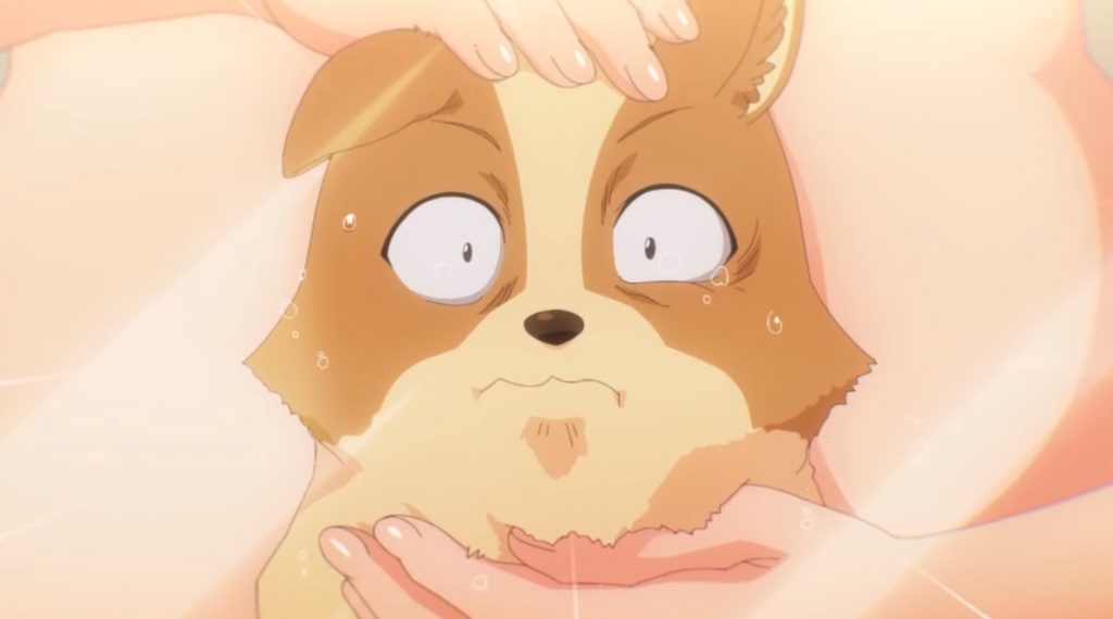My Life as Inukai-san’s Dog Anime Gets Revealing in NSFW Trailer