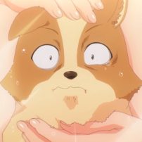 My Life as Inukai-san’s Dog Anime Gets Revealing in NSFW Trailer