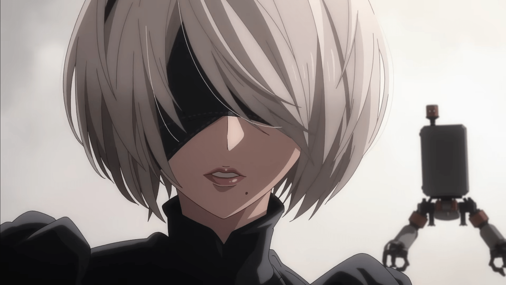 Anime NieR Automata Ver 1.1a season 2: release date for new episodes