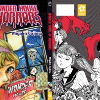 Wonder House of Horrors Contrasts Beauty and Ugliness