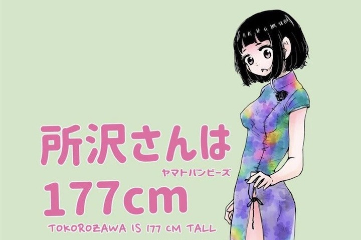 Tokorozawa is 177 cm Tall Is a Sweet, (Mostly) Slice-of-Life Shojo-ai